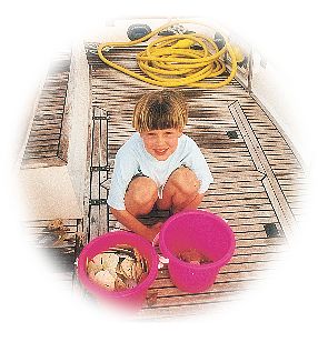 Child with bucket of sandollars photo